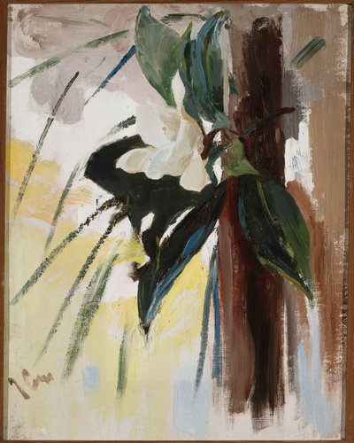Magnolia tekijältä Jan Ciągliński