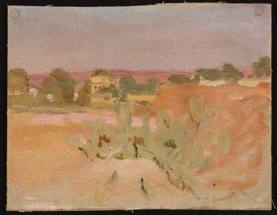 Rosa Landschaft mit Kakteen. Aus einer Reise nach Indien tekijältä Jan Ciągliński