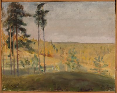 Terijoki - Suomi tekijältä Jan Ciągliński