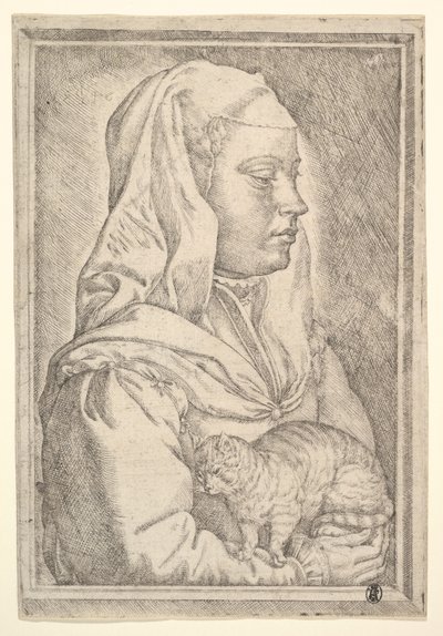 Tyttö kissan kanssa, 1546. tekijältä Jan Cornelisz Vermeyen