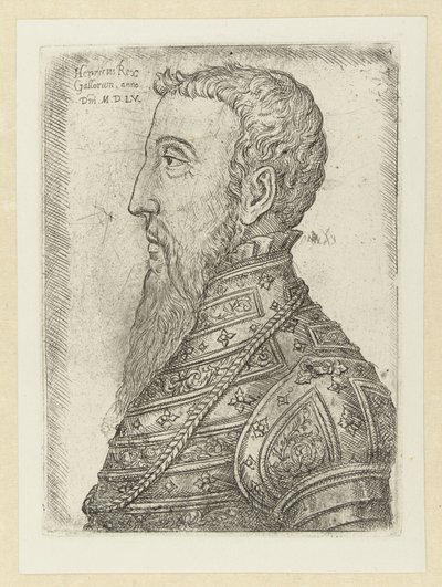 Portret van Hendrik II Henry King of the Galls (otsikko esineessä) tekijältä Jan Cornelisz Vermeyen