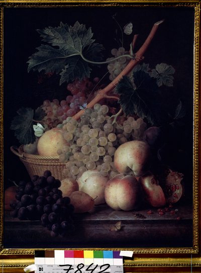 ""Hedelmät"" Persikoiden, rypäleiden, päärynöiden ja granaattiomenoiden asetelma perhosten ja ampiaisen kanssa. Jean Francois van Daelin (1764-1840) maalaus 1808 Pushkin-museo, Moskova tekijältä Jan Frans van Dael