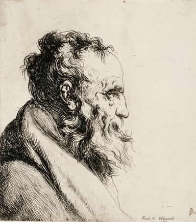  tekijältä Jan Lievens