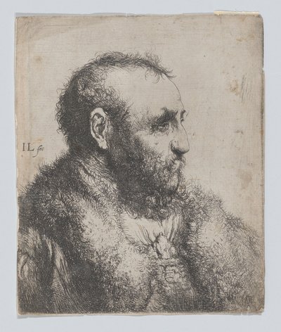 tekijältä Jan Lievens