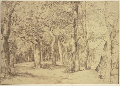  tekijältä Jan Lievens