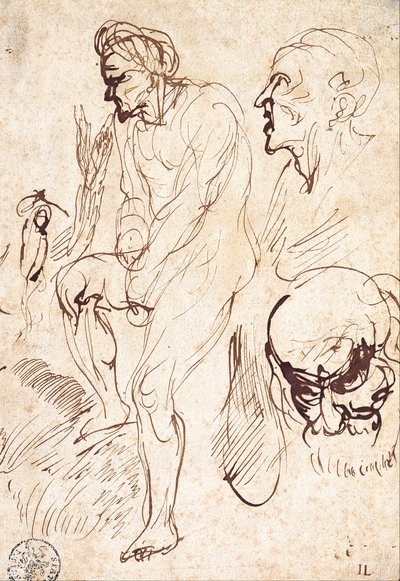 Mallin jälkeiset tutkimukset tekijältä Jan Lievens