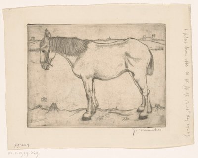 Hevonen tekijältä Jan Mankes (signed by artist)