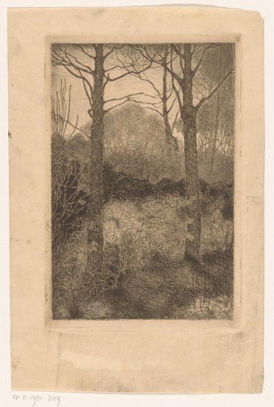 metsän reuna tekijältä Jan Mankes
