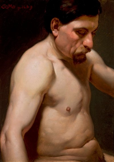 Puola: Puolialaston mies tekijältä Jan Matejko