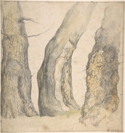 Tutkimus kolmesta vanhasta ryppypuusta, 1660. tekijältä Jan Siberechts