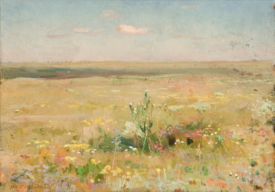 Steppe tekijältä Jan Stanislawski