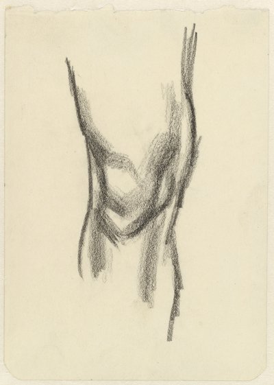 Polven tutkimus tekijältä Jan Toorop