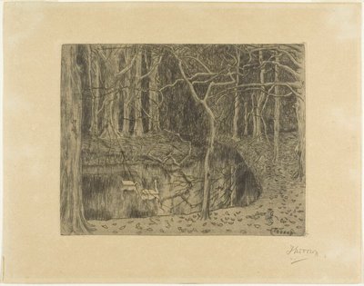 Metsäalue, jossa on lampi ja joutsenia tekijältä Jan Toorop