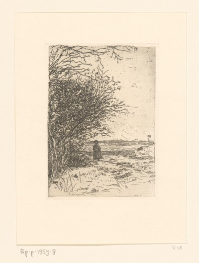 Nainen maisemassa Woman on the Heath (alkuperäinen nimi) tekijältä Jan Veth