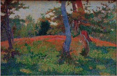 Selvitystä metsässä tekijältä Jan Vijlbrief