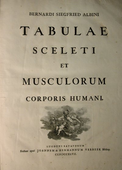 Albinus I, nimiölehti, teoksesta 