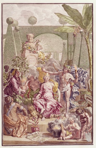 Carl Linnaeuksen (1707-78) "Hortus Cliffortianuksen" etulevy tekijältä Jan Wandelaar