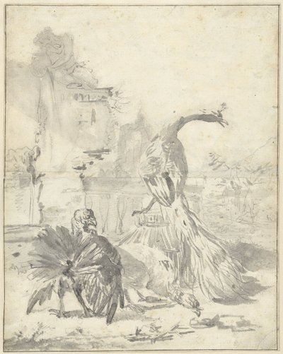 Hoenderhof riikinkukon ja kahden kalkkunan kanssa tekijältä Jan Baptist Weenix
