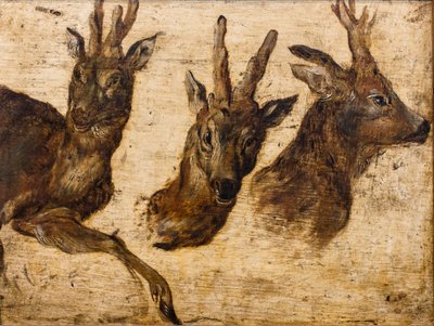 Brokadit pää (öljy kankaalle) tekijältä Jan the Elder Brueghel