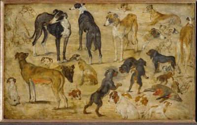 Eläinkokeet tekijältä Jan the Elder Brueghel