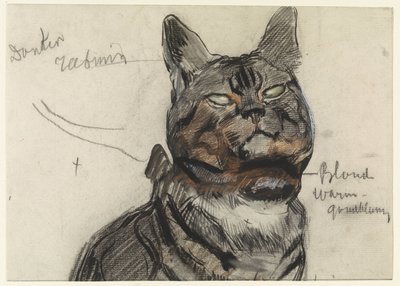 Kissa, väreillä tekijältä Jan van Essen