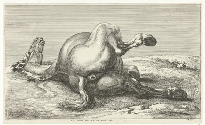 kaatunut hevonen Dead Horses (sarjan nimi) tekijältä Jan van Huchtenburg