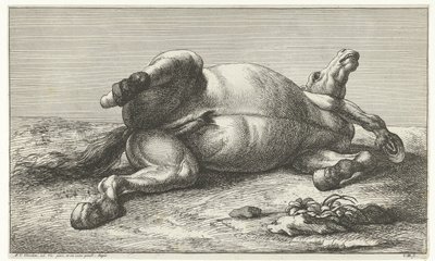 Kuollut hevonen makaa vasemmalla kyljellään Dead Horses (sarjan nimi) tekijältä Jan van Huchtenburg