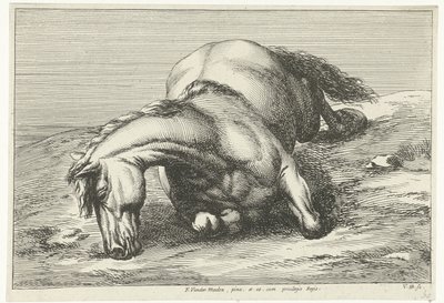 Kuollut hevonen makaa oikealla puolella Dead Horses (sarjan nimi) tekijältä Jan van Huchtenburg