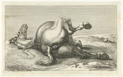 Kuollut hevonen takaa katsottuna Dead Horses (sarjan nimi) tekijältä Jan van Huchtenburg