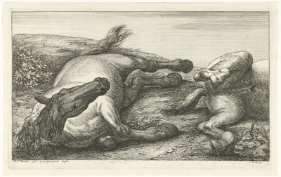 Kaksi kaatunutta hevosta, vasen edestä katsottuna Dead Horses (sarjan nimi) tekijältä Jan van Huchtenburg