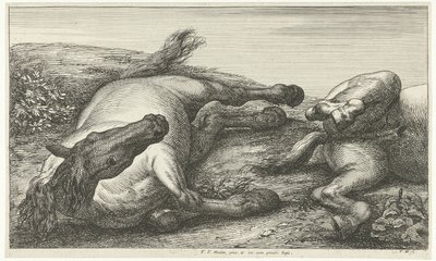 Kaksi kaatunutta hevosta, vasen edestä katsottuna Dead Horses (sarjan nimi) tekijältä Jan van Huchtenburg
