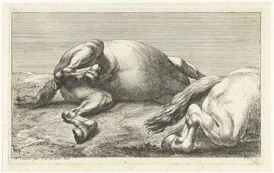 Kaksi kaatunutta hevosta, oikea sivulta katsottuna Dead Horses (sarjan nimi) tekijältä Jan van Huchtenburg