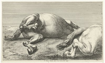 Kaksi kaatunutta hevosta, oikea sivulta katsottuna Dead Horses (sarjan nimi) tekijältä Jan van Huchtenburg