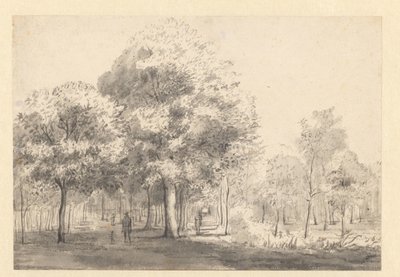 Näkymä Haarlemmerhoutille, Haarlem tekijältä Jan van Kessel (attributed to)