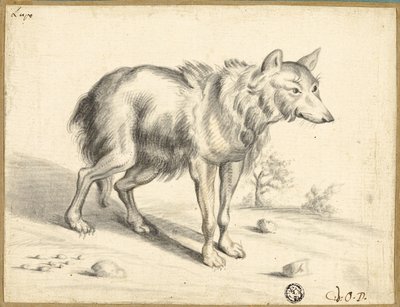 Susi tekijältä Jan van Os