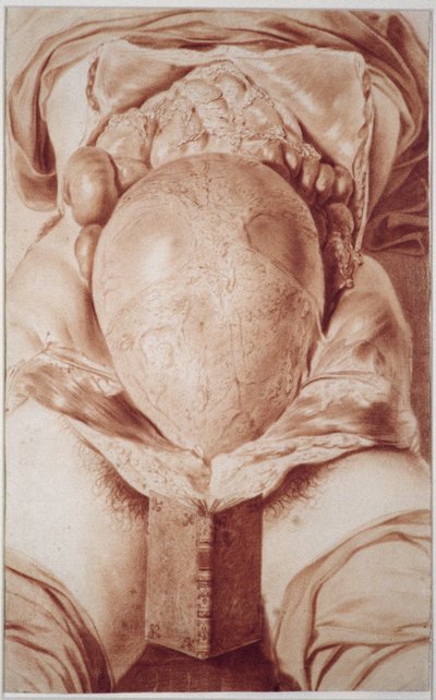 MS Hunter 658 Levy XXVI Piirros William Hunterin (1718-83) teoksesta Human Gravid Uterus anatomia, 1774 (liitu paperille) tekijältä Jan van Rymsdyk