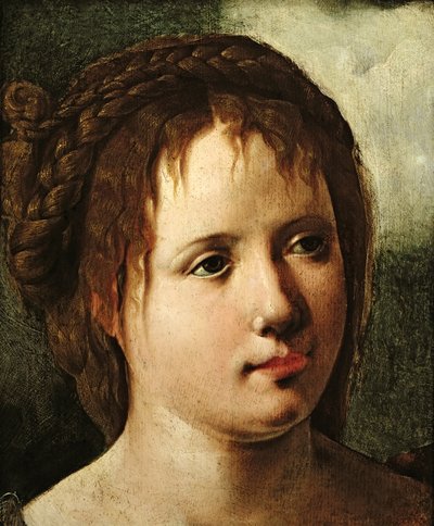 Tytön pää, 153035 tekijältä Jan van Scorel