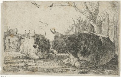 lepäävät lehmät Eläimet (sarjan nimi) Zoographiam (sarjan nimi) tekijältä Jan van den Hecke