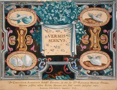 Theodor Gallen (1571-1633) kaivertama "Vermis Sericus" (silkkiäistoukkien) etuosa (kaiverrus) tekijältä Jan van der Straet