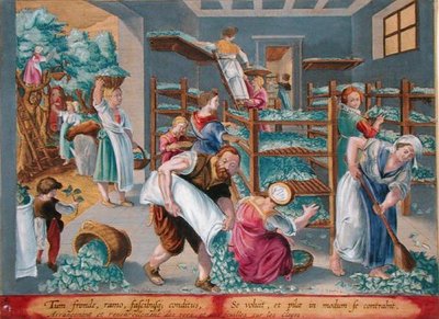 Naiset vuoraavat hyllyt Mulberry-lehdillä silkkiäistoukille, levy 5 kirjasta "Vermis Sericus" (Silkkiäistoukka) kaiverrettu Philip Galle (1537-1612) (kaiverrus) tekijältä Jan van der Straet