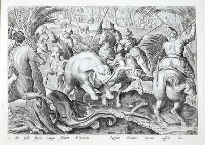 Norsut pitävät suurta melua, kun niitä lyövät metsästäjien keihäät, kuvitus teoksesta "Venationes, Ferarum, Avium, Piscium" (Metsästys: Wild Beasts, Birds, Fish), kaiverrettu Jan Collaert (1566-1628), pubi. kirjoittanut Phillipus Gallaeus, Amsterdam (kaive tekijältä Jan van der (1523 1605) Straet