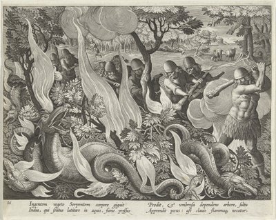 Käärmeiden pyydystäminen Intiassa mailoilla ja soihtuilla aluskasvillisuuden valaisemiseen, levy 44 Venationes Ferarum, Avium, Piscium (Metsästys: Wild Beasts, Birds, Fish) pubista. 1640 tekijältä Jan van der 1523 1605 Straet
