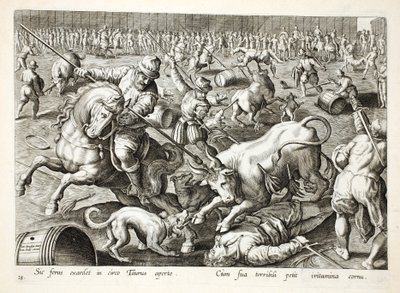 Joukkohärkätaistelu aitauksessa, kuvitus teoksesta "Venationes, Ferarum, Avium, Piscium" (Metsästys: Wild Beasts, Birds, Fish), kaiverrettu Jan Collaert (1566-1628), pub. kirjoittanut Phillipus Gallaeus, Amst tekijältä Jan van der Straet