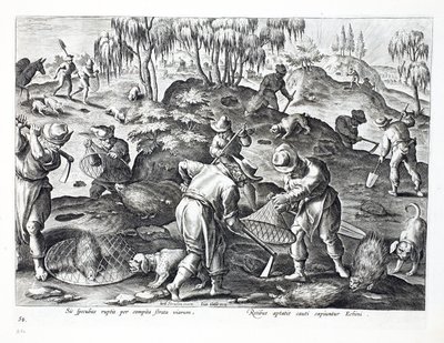 Porcupines kaivetaan esiin ja vangitaan, levy 54, kuva julkaisusta "Venationes, Ferarum, Avium, Piscium" (Metsästys: Wild Beasts, Birds, Fish), kaiverrus Jan Collaert (1566-1628), pub. kirjoittanut Phillipus tekijältä Jan van der Straet