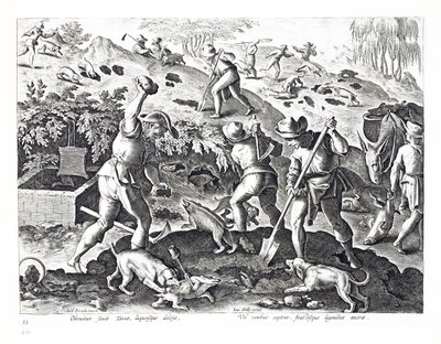 Mäyräkoirien kaivaminen ja pyydystäminen, kuvitus teoksesta "Venationes, Ferarum, Avium, Piscium" (Metsästyksestä: villieläimet, linnut, kalat), kaiverrettu Jan Collaertin (1566-1628) toimesta, julkaisija Phillipus Gallaeus, Ams. tekijältä Jan van der Straet