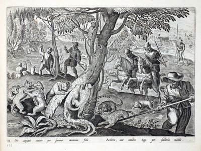 Metsästyskissat koirien kanssa, kuvitus teoksesta "Venationes, Ferarum, Avium, Piscium" (Metsästys: Wild Beasts, Birds, Fish), kaiverrettu Jan Collaert (1566-1628), pub. kirjoittanut Phillipus Gallaeus, Amsterdam (eng tekijältä Jan van der Straet