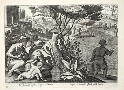 Metsästysviiriäinen, kuvitus julkaisusta "Venationes, Ferarum, Avium, Piscium" (Metsästys: Wild Beasts, Birds, Fish), kaiverrettu Jan Collaert (1566-1628), pub. kirjoittanut Phillipus Gallaeus, Amsterdam tekijältä Jan van der Straet