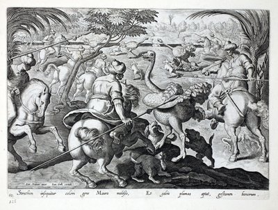 Moors on Horseback Metsästys strutseja, levy 62, kuva julkaisusta "Venationes, Ferarum, Avium, Piscium" (Metsästys: Wild Beasts, Birds, Fish), kaiverrus Jan Collaert (1566-1628), pub. kirjoittanut Phillipus tekijältä Jan van der Straet