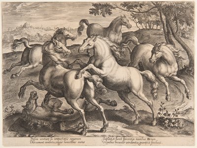 Fighting Horses, "Equile Joannis Austriacin" neljännestä sarjasta tekijältä Jan van der Straet, called Stradanus