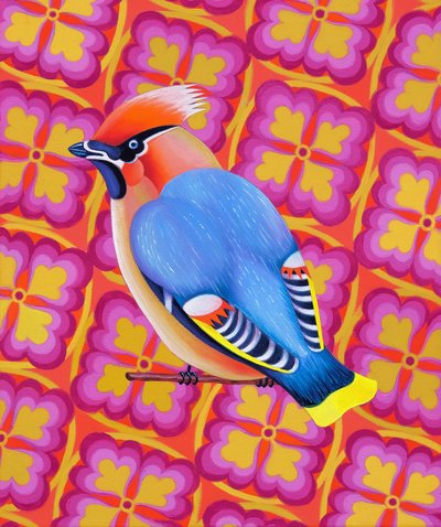 Waxwing, 2023 (öljy kankaalle) tekijältä Jane Tattersfield